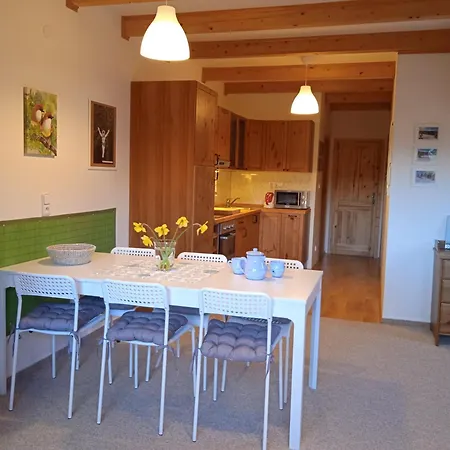 Srub Javorná - apartmány Šumava Exterior foto