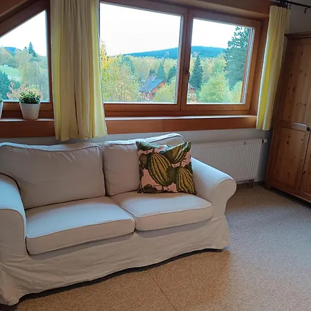 Srub Javorná - apartmány Šumava Exterior foto