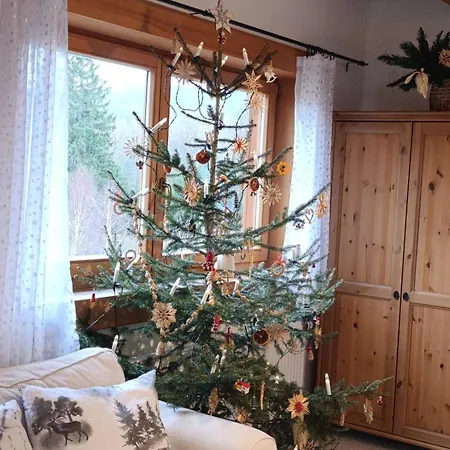 Srub Javorná - apartmány Šumava Exterior foto