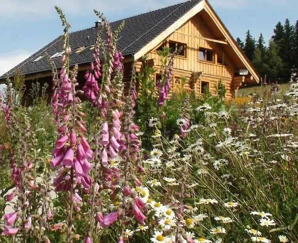 Srub Javorna - Apartmany Sumava