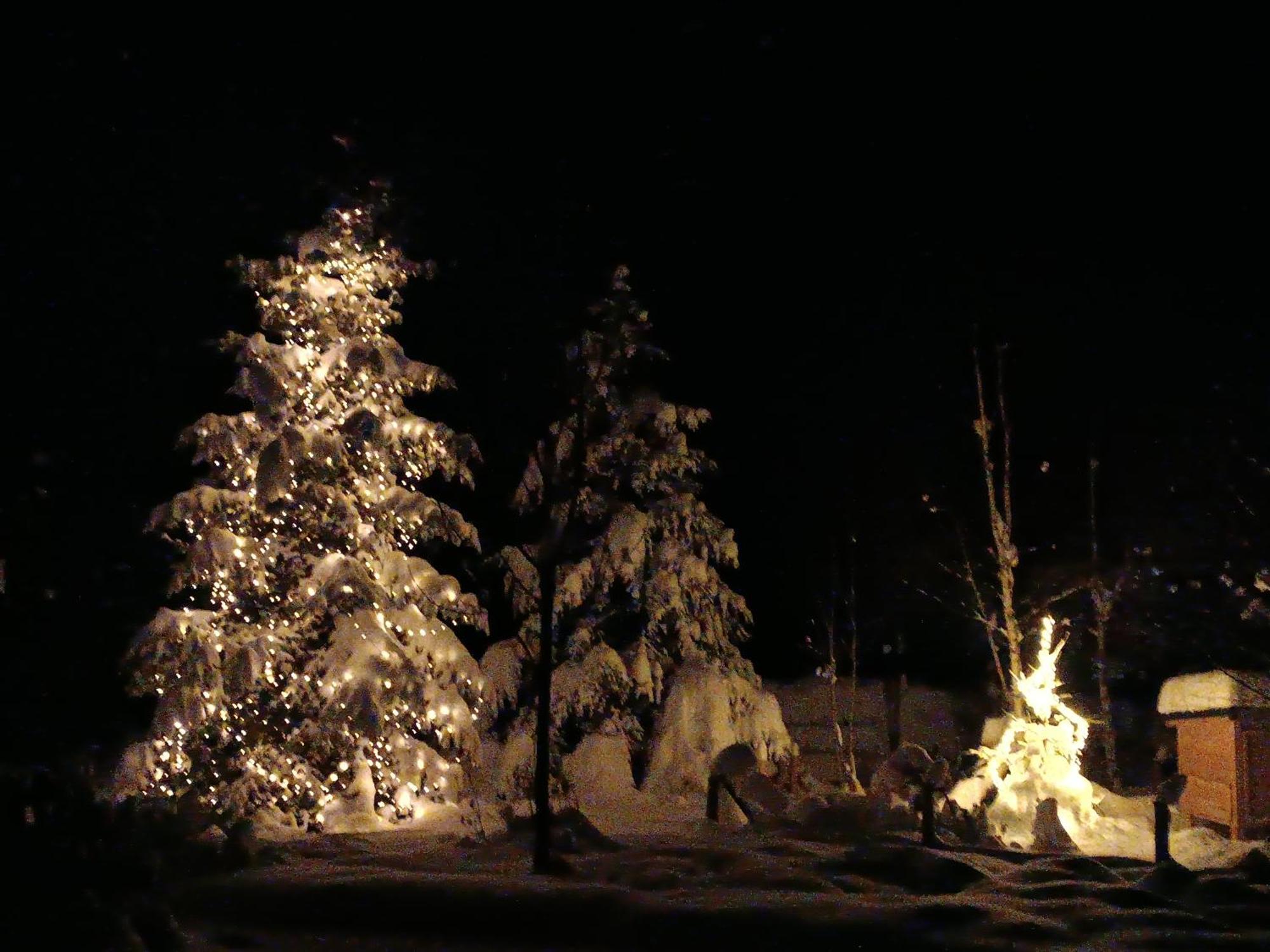 Srub - šumava Apartamento Javorná