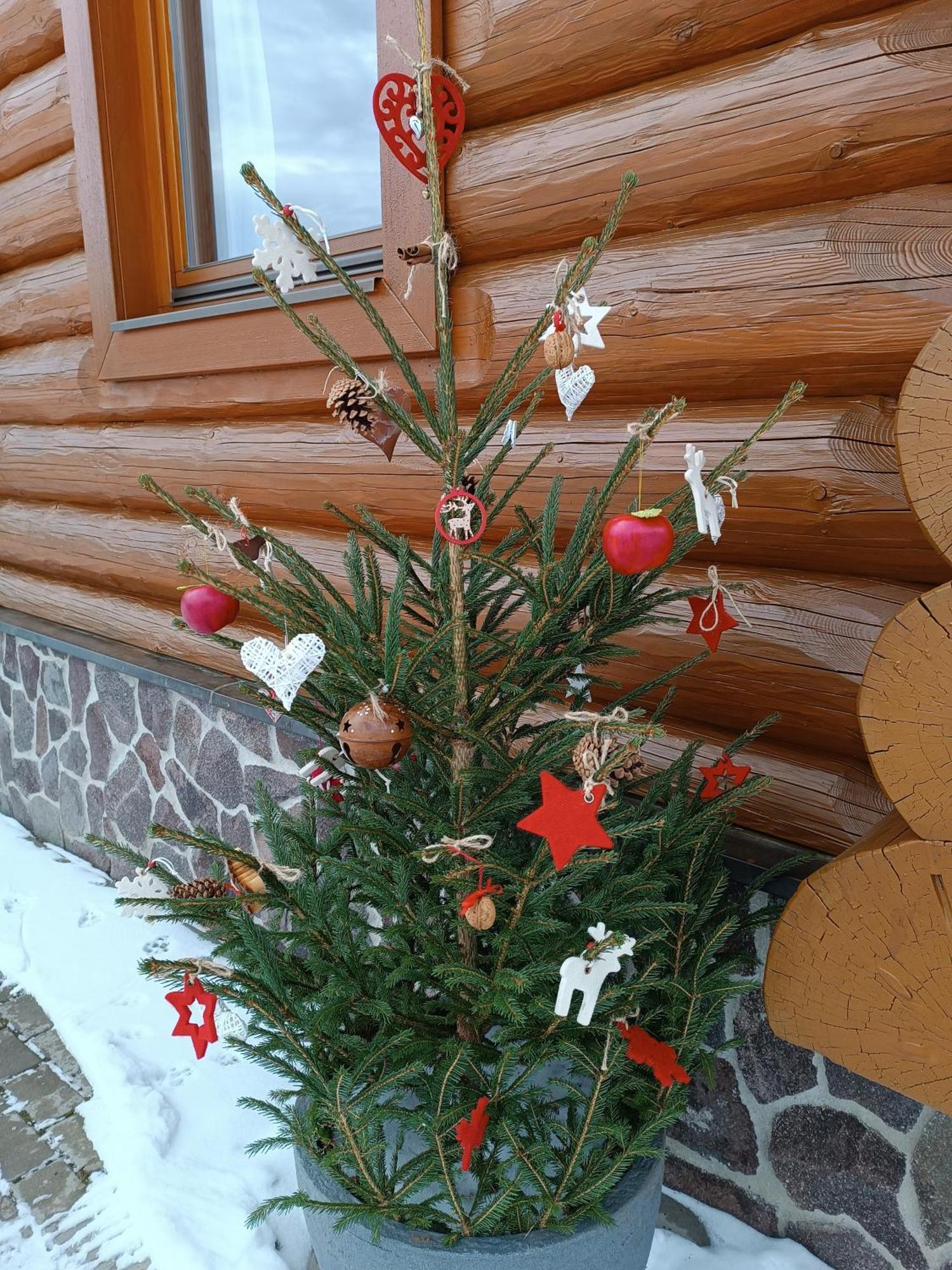 Apartment Srub - Sumava Javorna