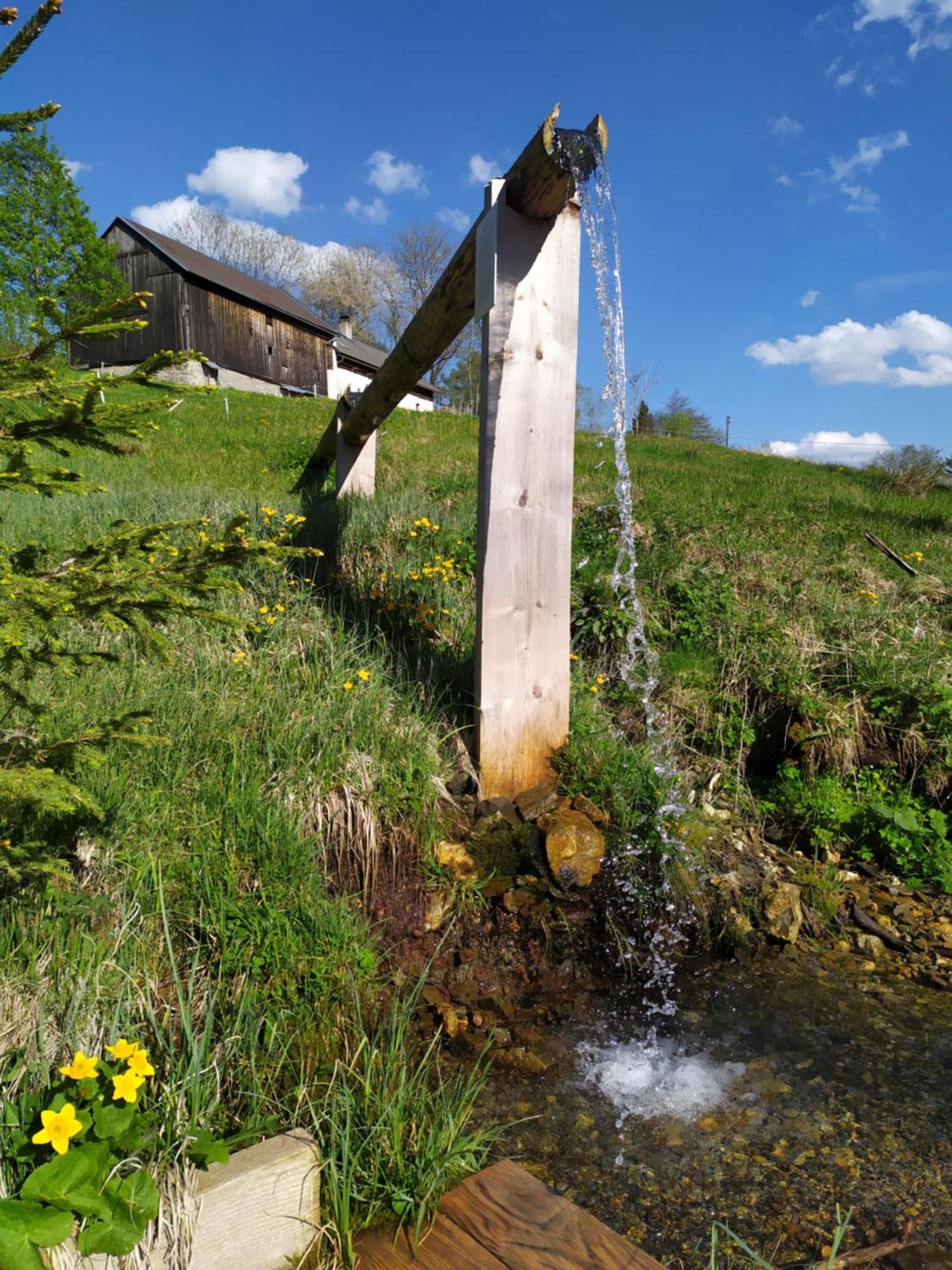 Srub - Sumava * Javorna