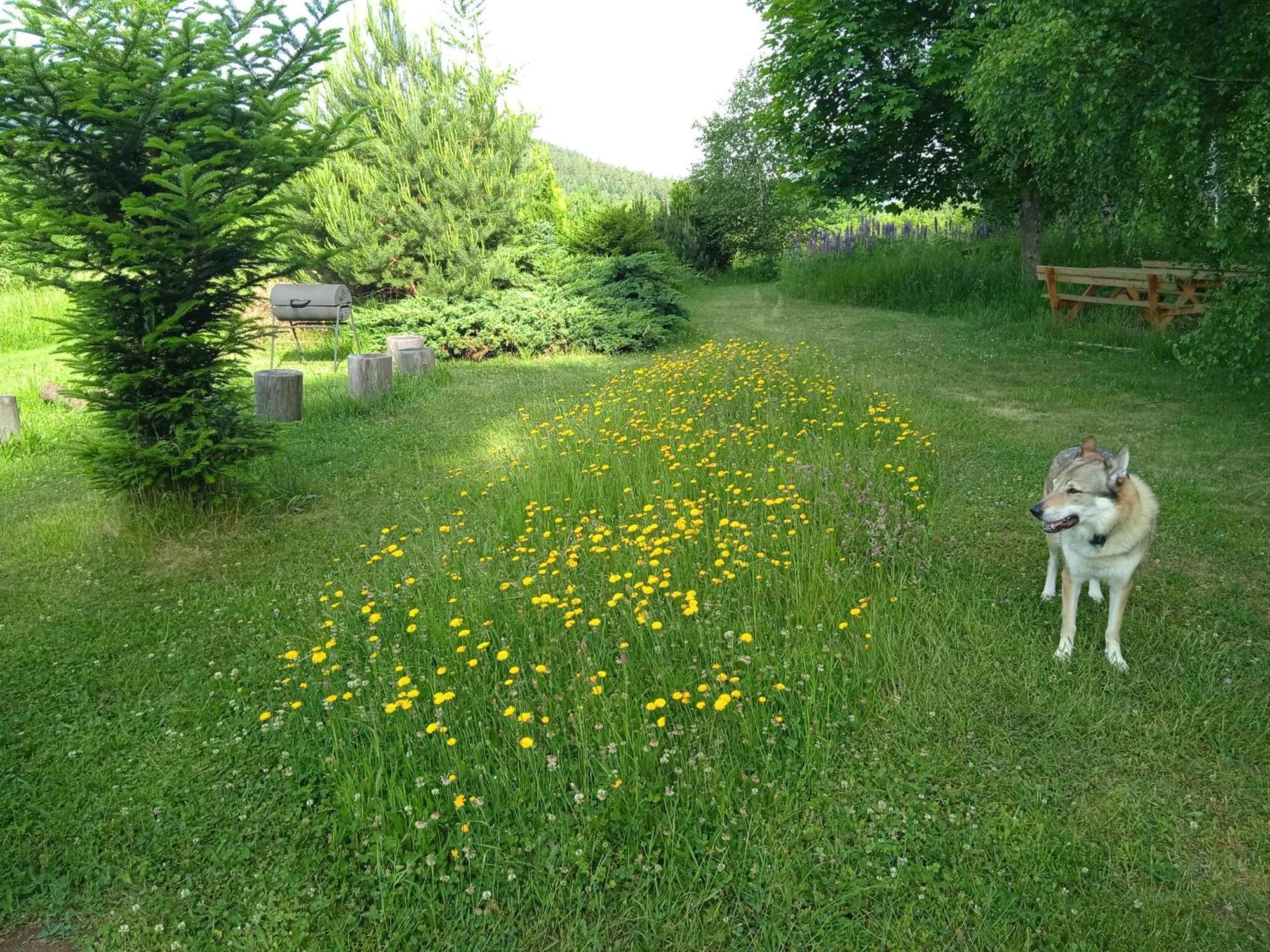 Srub - Sumava Apartment