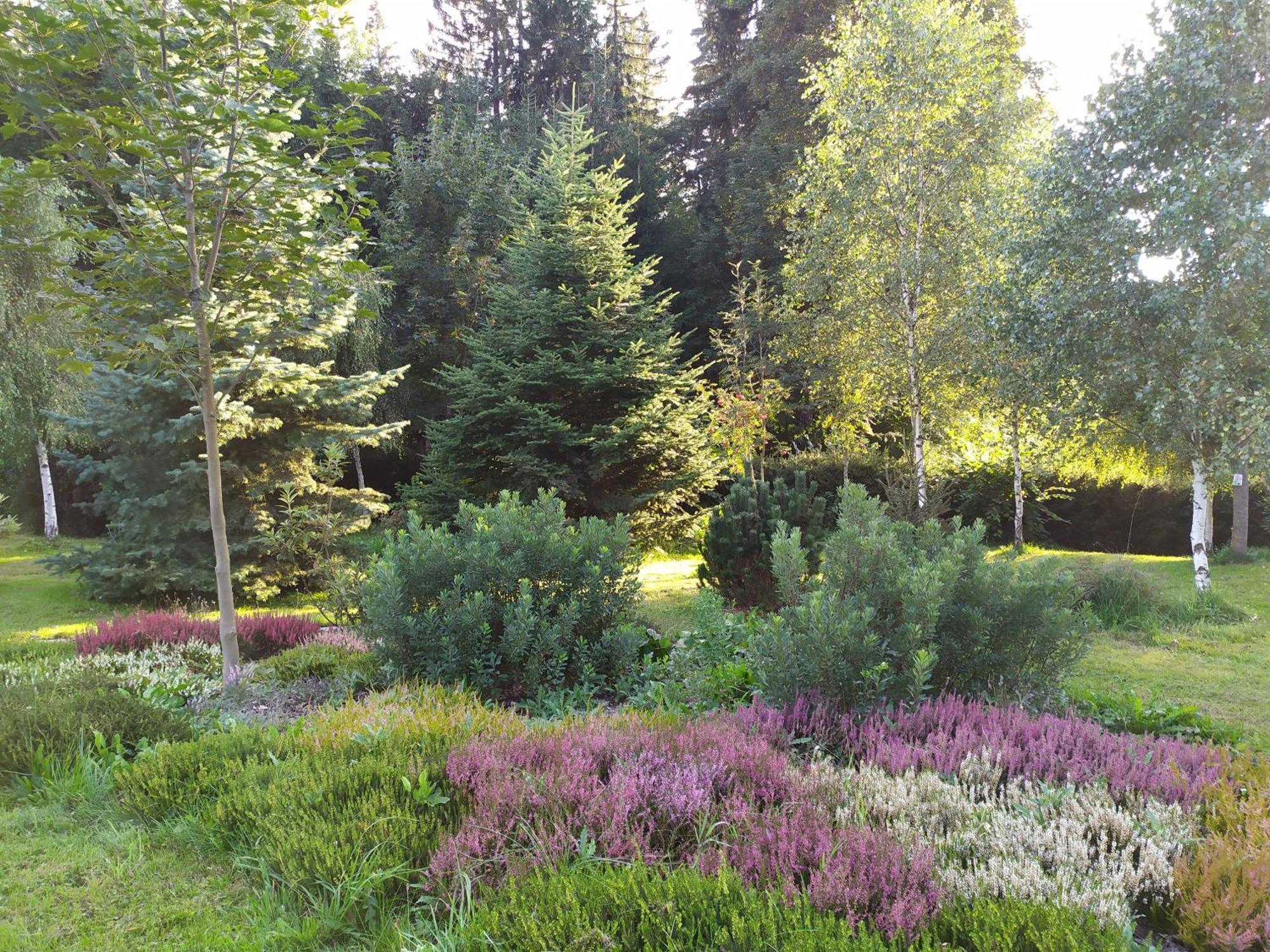 Srub - Sumava Apartment Javorna