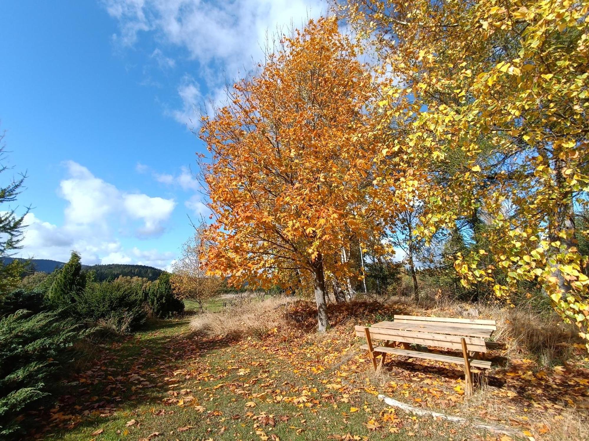 Srub - Sumava Apartment
