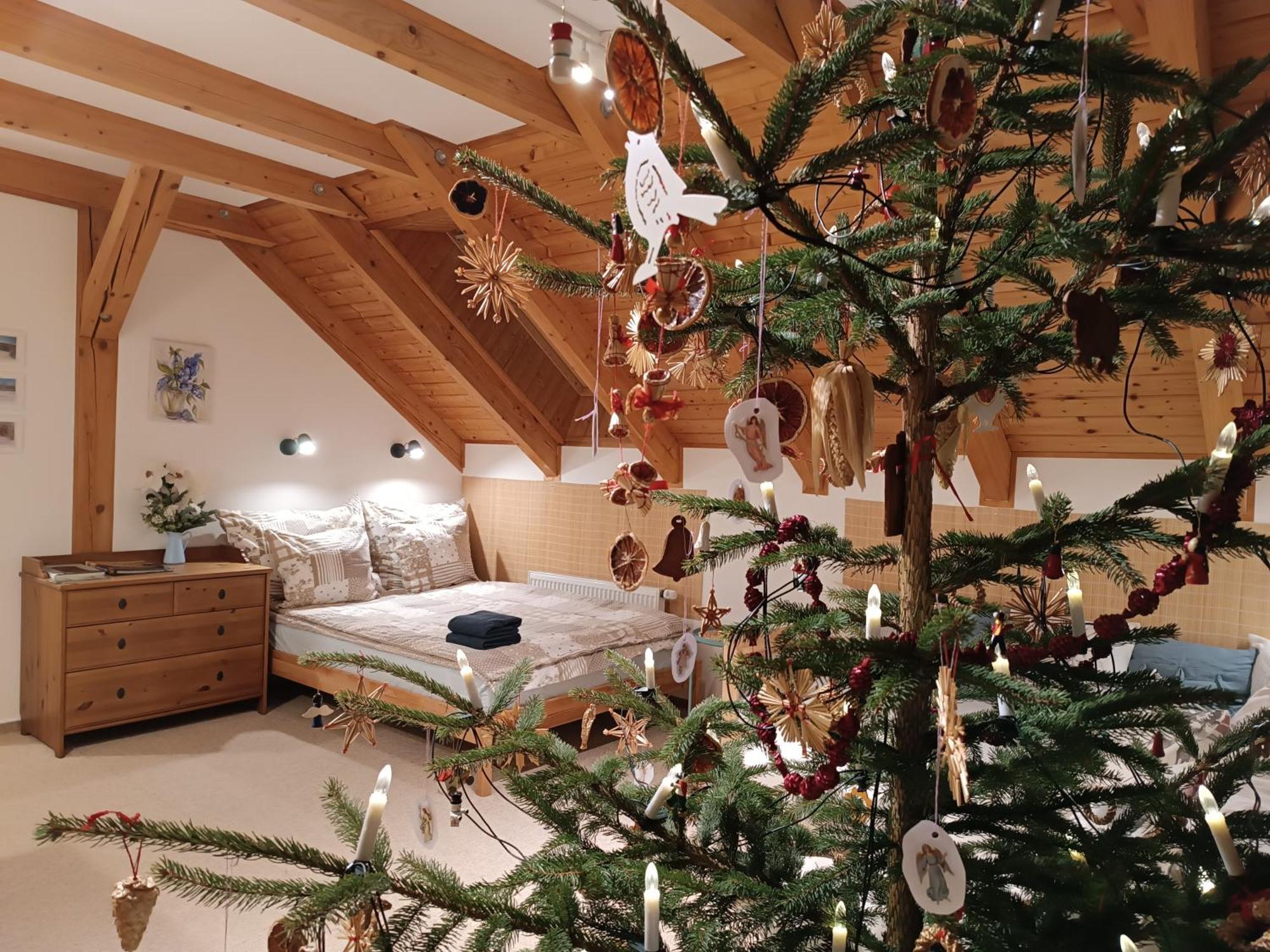 Apartment Srub - Sumava *