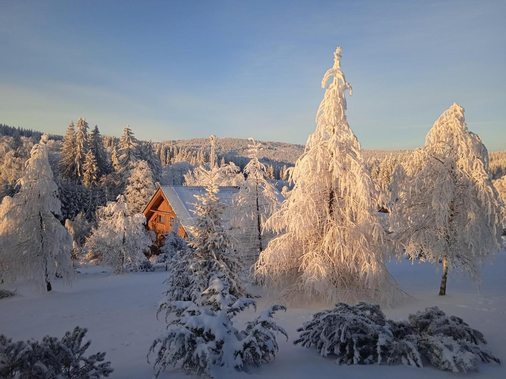 Srub - Sumava Apartment