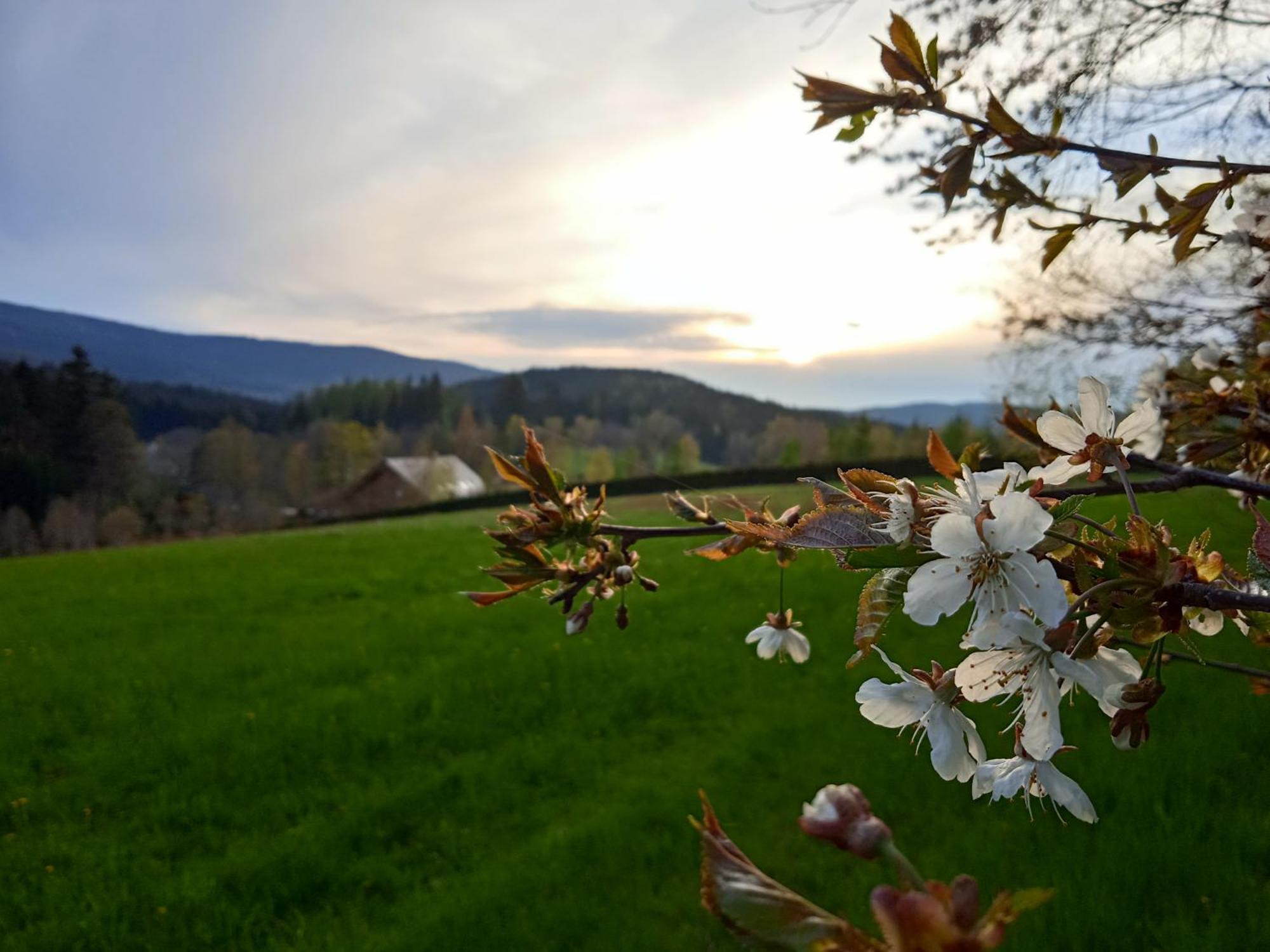 Srub - Sumava *