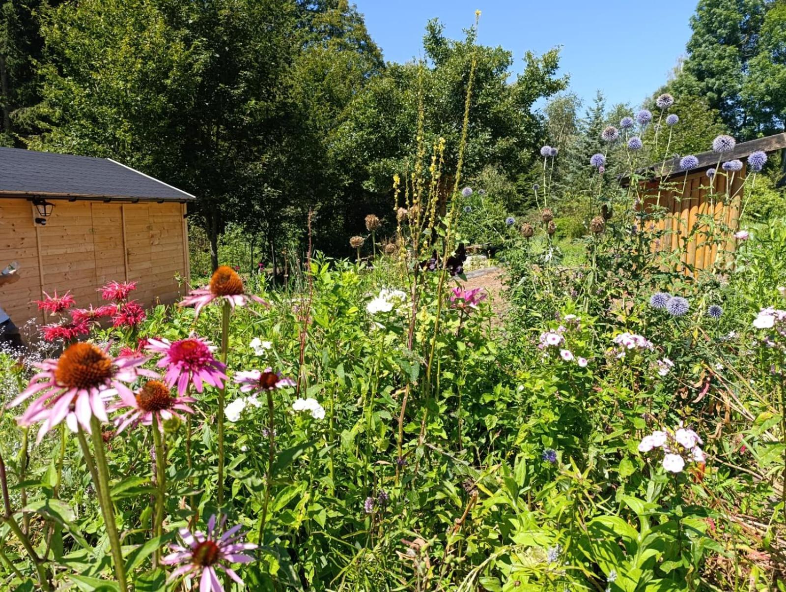 Apartamento Srub - šumava