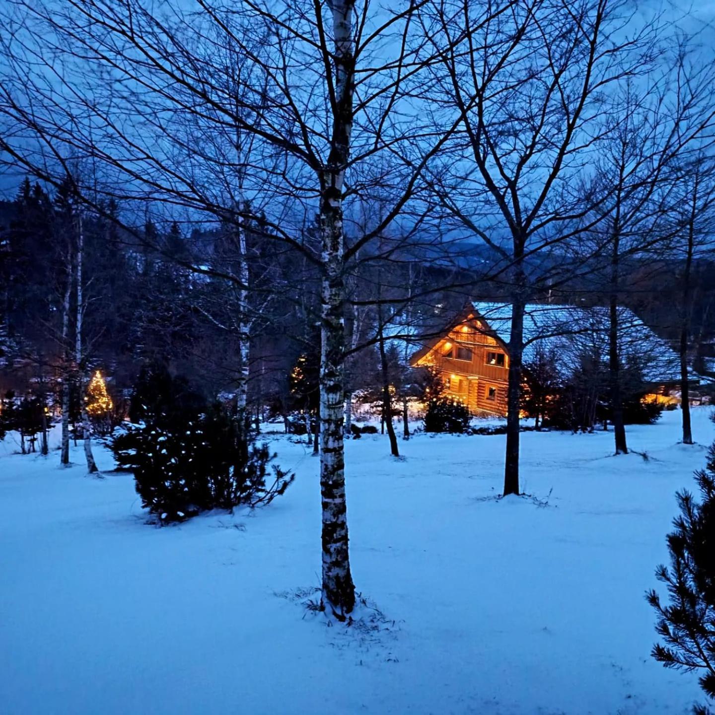 Srub - šumava Apartamento Javorná