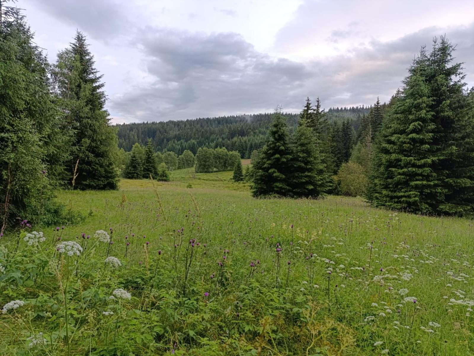 Srub - Sumava Apartment *