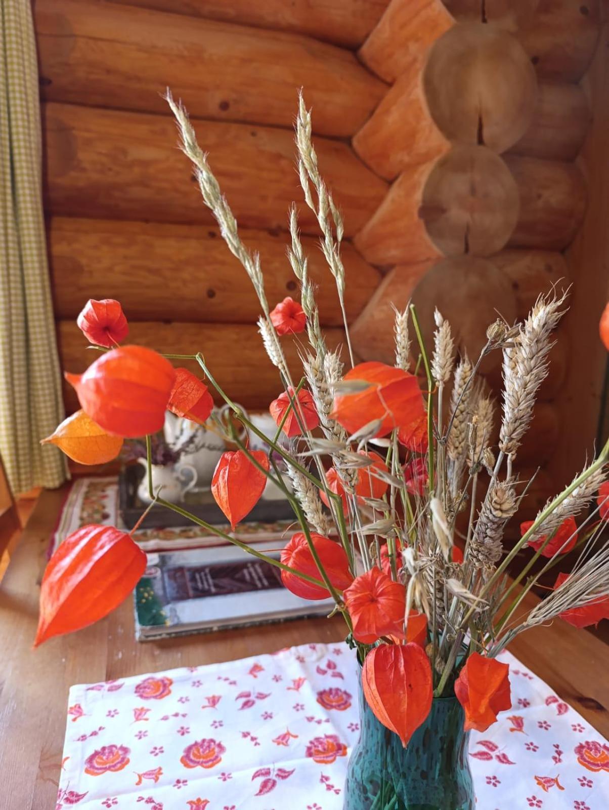 Srub - Sumava *