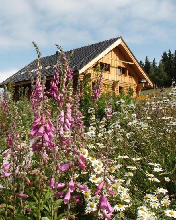 Srub - Sumava * Javorna