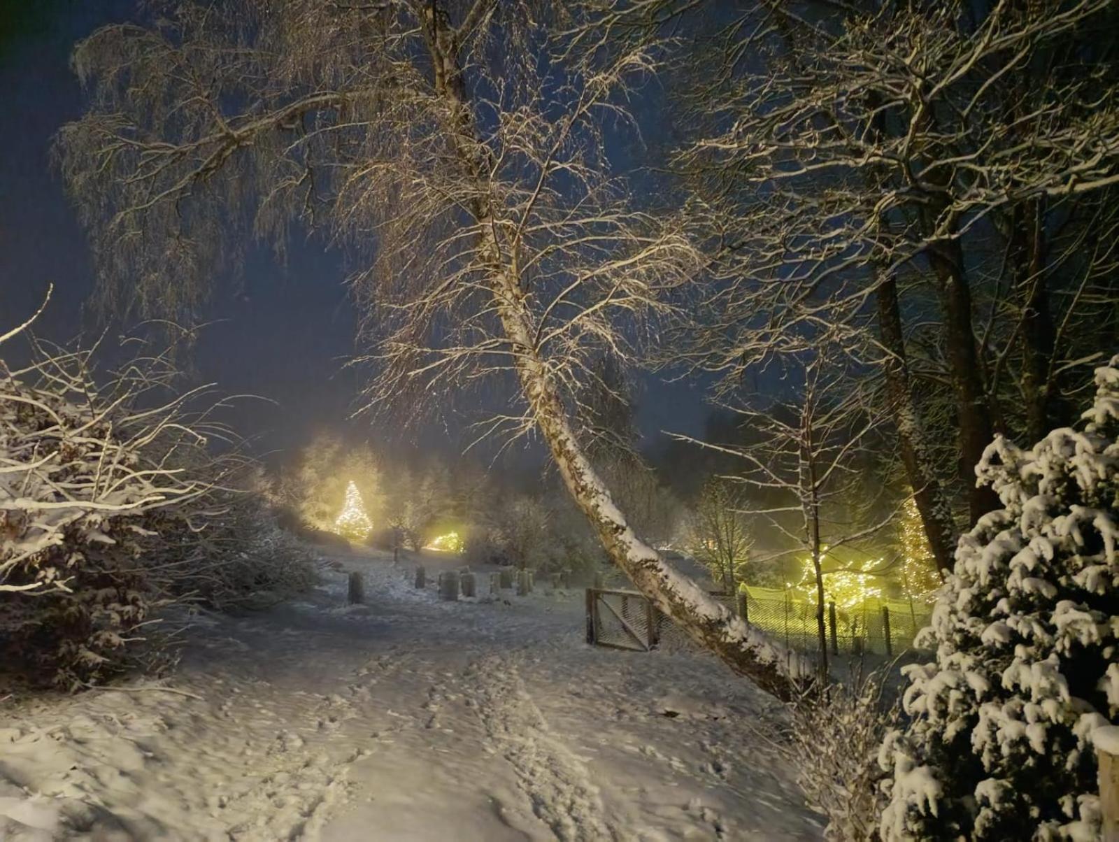 Srub - šumava Apartamento Javorná
