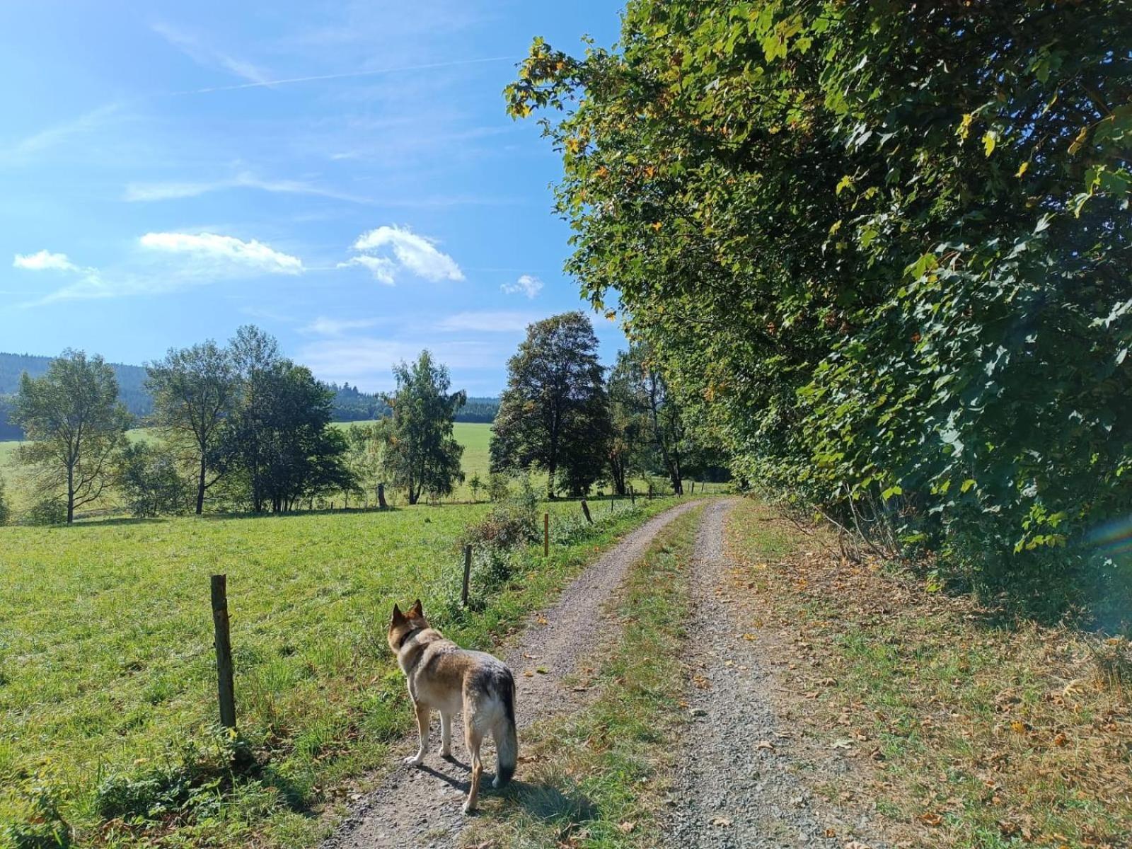 Srub - Sumava *